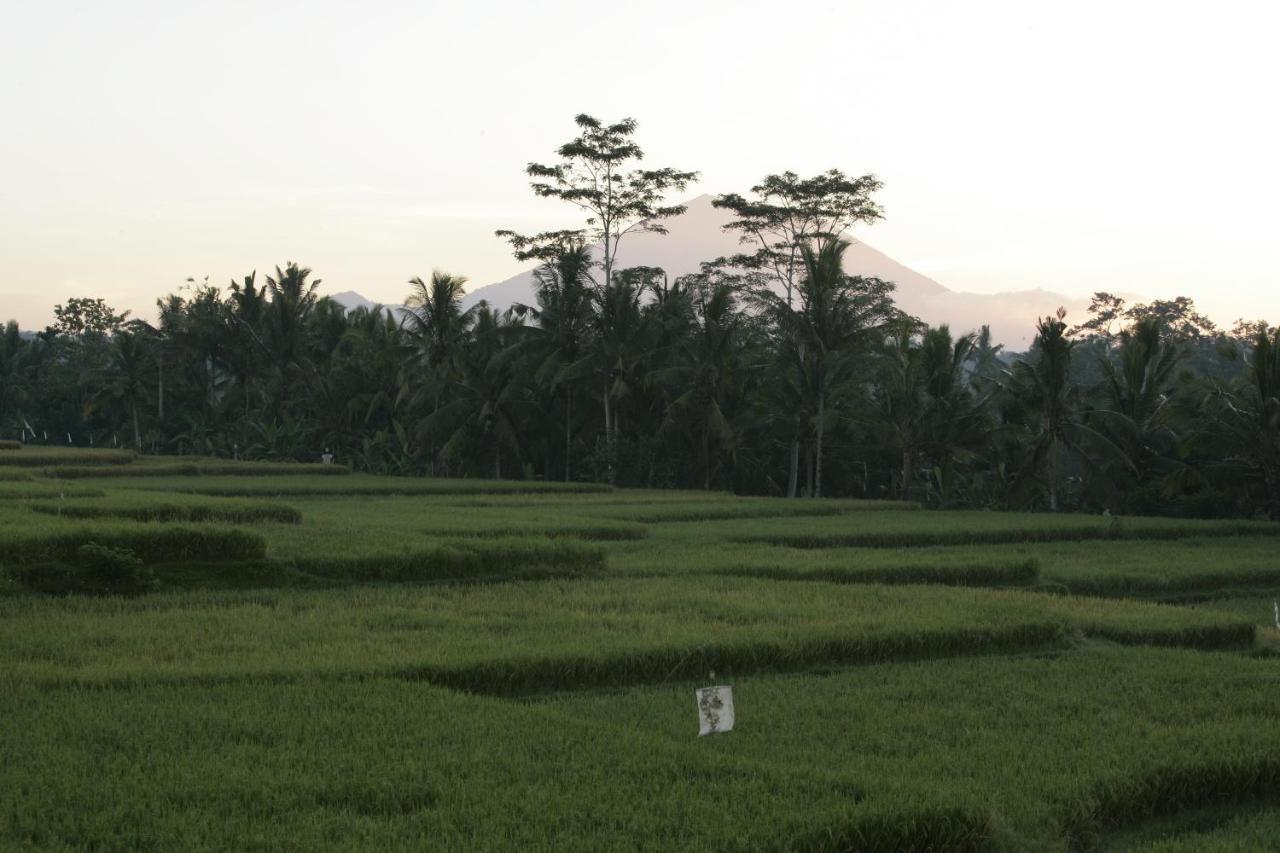 Hotel Viceroy Bali Ubud Exterior foto
